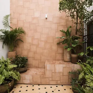 Casa Montore By Barrio Mexico Guadalajara